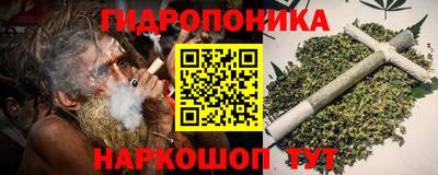 прущие грибы Гай