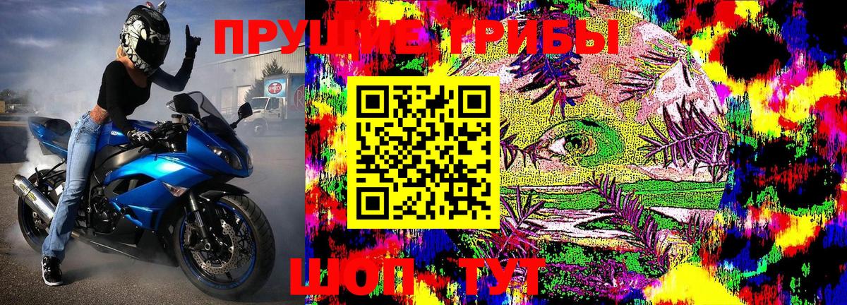 Псилоцибиновые грибы Cubensis  наркота  Псилоцибиновые грибы Psilocybe  Сатка  Вход с VPN 